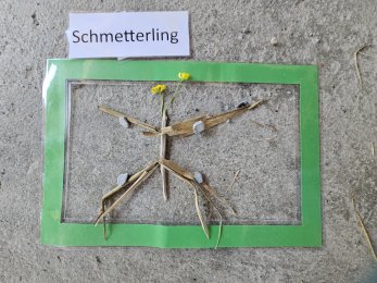 Schuljahr 2024/25